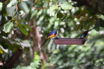 DSC_9192.JPG